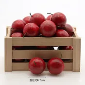 現貨 仿真百香果 假百香果 假水果 水果模型