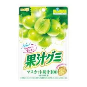 【Donki日本唐吉訶德】Meiji明治 日本直郵進口香氣濃郁QQ糖零食伴手禮 果汁軟糖【青葡萄口味】 54g