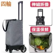 一包兩用 購物車 摺疊拉車 買菜車 老人推車 超市便攜式拖車 便攜拉車 可摺疊家用拉桿車 推車 摺疊推車 便攜推車