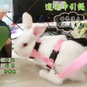 兔子牽引繩 防掙脫兔兔繩子 溜兔繩伸縮可調節遛兔繩兔子用品【不二雜貨】
