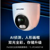 ✅台灣現貨供應✅TP-LINK網路型IP CAM400萬畫素攝影機 DC12V+POE供電日夜全彩雙向對講網路型攝影機