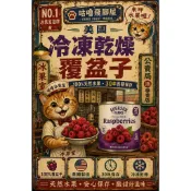 美國製造 冷凍乾燥覆盆子 30年長期保存 覆盆子水果乾 即沖即食 防災食品 戶外露營