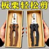 現貸917板栗剝殼神器去皮工具栗子剪子商用生板栗開口器鋒利開口剪