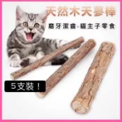 台灣🇹🇼現貨 24H出貨 木天蓼棒 貓咪磨牙玩具 貓草 木天蓼 磨牙 貓草球 貓咪用品 木天蓼粉 貓草玩具 貓薄荷 貓球