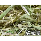 ◆趴趴兔牧草◆澳洲甜燕麥 未過篩 2公斤/1公斤/500克 兔 天竺鼠
