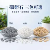 (店+)台灣發票 黑白卵石 黃金卵石 白玉石 漢白玉 漢白石 鋪面石 鵝卵石 水族造景 盆栽鋪面 庭園造景 寵物石頭 天然原石