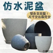 (店+)沐晨植物園｜塑膠盆 花盆 仿水泥盆 大花盆 塑膠花盆 仿石紋樹脂盆器 仿水磨石盆器 觀葉植物花盆 大盆器 加厚花盆