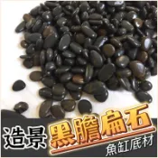 【水族狂粉】［水族最便宜］亮面 黑膽石 極光砂 黑扁石 黑金剛砂 黑膽扁石 水草砂 中性底砂 魚缸底砂 水草造景