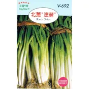 【隔日到貨】 北葱-達豐(Bunch Onion)【蔬果種子】北蔥 天星牌小包裝種子