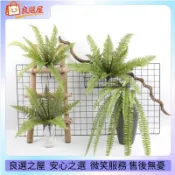 🌾仿真花 蕨類仿真波斯葉 仿真綠植波斯葉 鐵線厥植物牆配材仿真植物牆假草牆面裝飾 仿真植物 仿真 裝飾 假花