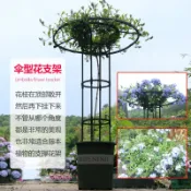 知木屋 熱銷/免運 組裝傘形花架爬藤架玫瑰攀藤薔薇花植物花支架桿園藝綠植