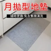 臺灣倉出🚚 地毯 房間 室內地墊 一次性吸水地墊 拋棄式地墊 防油地毯 免洗腳墊 防滑毯 廁所地墊 防水防油 9LP5