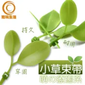 《現貨免運費》🎉🎉🎉可愛小草束帶  束帶 綁帶 束線帶 車牌裝飾 療癒裝飾 綠葉束線帶 仿真樹葉裝飾品 綠葉束帶