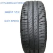 米其林輪胎195 205 215 225 235 245/45 50 55 60 65R15 16 17 18