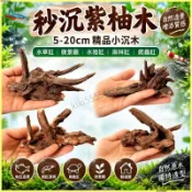 🪵沉木 魚缸造景 小沉木 水族造景 微景觀 烏龜缸 蝦缸 躲避屋 魚缸擺件 蝦屋 龜窩 天然紫柚木 非杜鵑根