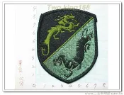 南台灣最大☆★二王軍警防身百貨用品★陸軍第49師(龍虎部隊)22-8 國軍 陸軍 迷彩服 臂章