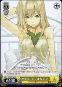 《CardTube卡族》(140630) SE/S04-T06 TD (WS) 光明與黑暗續戰篇普卡 (黃1)