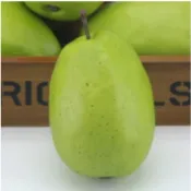 仿真番石榴芭樂假水果蔬菜模型櫥櫃裝飾品（一個價格）