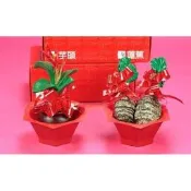 女方訂婚12禮蓮蕉花+芋頭組 結婚用品