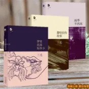 🎇熱賣上新🎇【二手】三毛作品集 夢里花落知多少+撒哈拉的故事+雨季不再來共3冊文學集