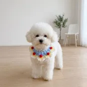 🐕‍🦺 隔日到貨🐈‍⬛ 狗狗貓咪項圈 生日佈置 氣球佈置 派對佈置 寵物衣服 收涎佈置 週歲佈置 慶生佈置套組 氣球佈置