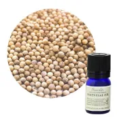 [平日一到五每天出貨] 芫荽精油 Coriandrum sativum (Coriander) 香菜籽萃取、輕盈舒服香氣