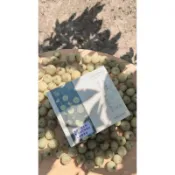 油甘粉（小農油柑製造所）