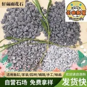 黑色深灰色礫石 園林造景水磨石水洗石 工程鋪路小碎石頭洗米石子
