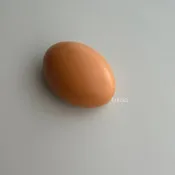 3d雞蛋冰箱磁鐵/釘板裝飾配件/3D擺件/留言板/辦公文件貼紙/仿真食物/可愛冰箱貼/兒童房裝飾
