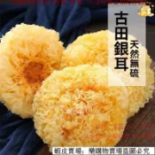 💯新鮮🔥免運🔥推薦好貨🔥白木耳 銀耳 古田特産銀耳 新鮮幹貨 雪耳 糯蓮子羹 銀耳蟲草促銷