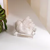 迷你白晶簇  850143