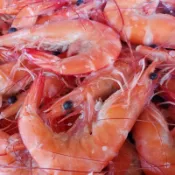 【大盤商】🦐熟白蝦系列(中)40/50🦐/1公斤/直接吃/好料理//批發 團購/全館799免運費