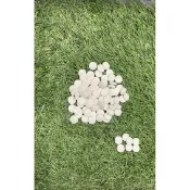 ※兔老爺※現貨快速出貨 小動物用營養品 鳳梨木瓜酵素錠 維他命C錠 奇異果腸胃補給錠 倉鼠/天竺鼠/兔子/小動物補給營養