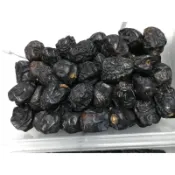 棗子阿拉伯椰棗Kurma Ajwa Ajwah Dates تمرعجوةالمدينة中東黑椰棗 500公克