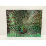 [中古品]🖼️無框平面3D圖/孔雀開屏/湖邊小鴨/金閣寺/富士山/小掛畫/風格擺設/居家裝飾/藝術風格(附實拍圖+影片)