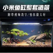 源一商社 仿真巴西森林拱橋青龍石溪流缸新手套餐擺件