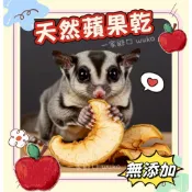 【WuKo｜超人氣蘋果乾】手作蘋果乾 超新鮮天然製作 純天然無添加 蜜袋鼯點心 寵物點心  WuKo手作水果乾 小寵物