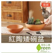 紅陶矮碗盆 造型 多肉 觀葉 素燒紅陶盆 紅瓦盆 國際盆 陶盆 紅陶盆 素燒盆  透氣素燒陶盆 【綠色山嵐】