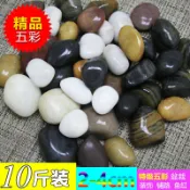協貿國際日用品生活6館 【10斤】天然南京雨花石原石子花盆園藝鵝卵石魚缸石頭小石子庭院
