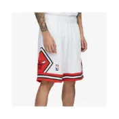 NBA Mitchell & Ness 芝加哥 公牛 Bulls G2 二代 Swingman 球褲 短褲 Jordan