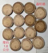 台灣櫸(紅雞油)年輪木片/鹿角蕨栽種板/隔熱墊/藝品盆景陶藝擺設底座/置物墊／木質墊片