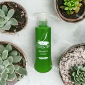 現貨 NPPE采蒂芝彩 茶樹洗髮精500ml