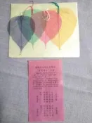 菩提樹葉 ...共13個,全部一起帶回