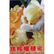 ★綠霖園藝★焦核榴槤蜜 嫁接苗 高度約60公分  盆觀賞植物/水果樹苗/新興果樹/果苗/嫁接/植物/盆栽