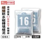 【樂土LOTOS官方旗艦店】16-樂土防水磁磚填縫泥(細縫)｜磁磚縫修補低吸水 簡易防水防霉可再塗金鎧甲SJ39歡迎詢問