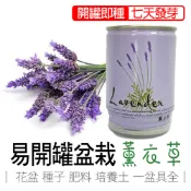 【買5送1】薰衣草 盆栽 花卉盆栽  iPlant 易開罐頭盆栽 花卉農場 懶人盆栽 種子 盆栽 台灣製