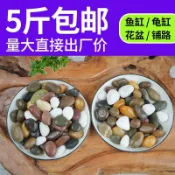 水族必備🐋多彩海扁石 圓扁石 烏龜爬石 疊石 庭園造景 DIY創作 鵝卵石雨花石原石魚缸花盆石天然小石子庭院裝飾園藝五