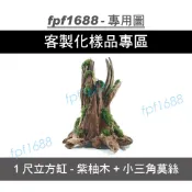 1尺立方缸-紫柚木+小三角莫絲