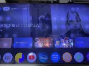 Panasonic TH-55C420W