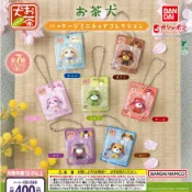 〖西森〗(現貨)茶犬包裝盒公仔吊飾 BANDAI 扭蛋 轉蛋 茶犬 元氣小茶犬 綠茶犬 花茶犬 阿爾 小龍 恰伊 全5款